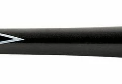 Mizuno Mizuno Pro Carbon Fungo Bat
